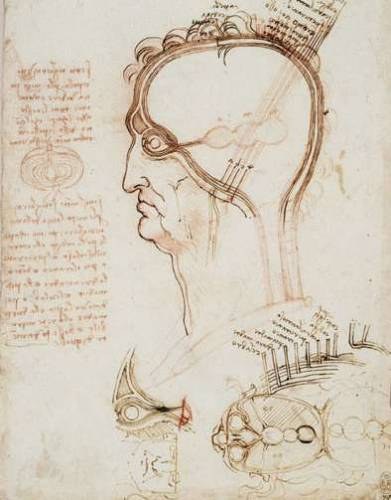 Civitanova, una mostra illustra le opere di Leonardo da Vinci