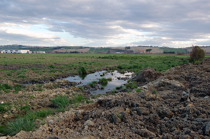 liquami nel terreno