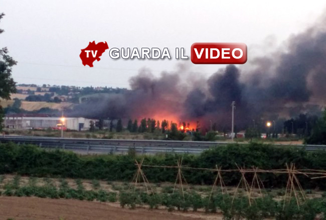 Incendio al Cosmari Lavare bene ortaggi e frutta Cronache