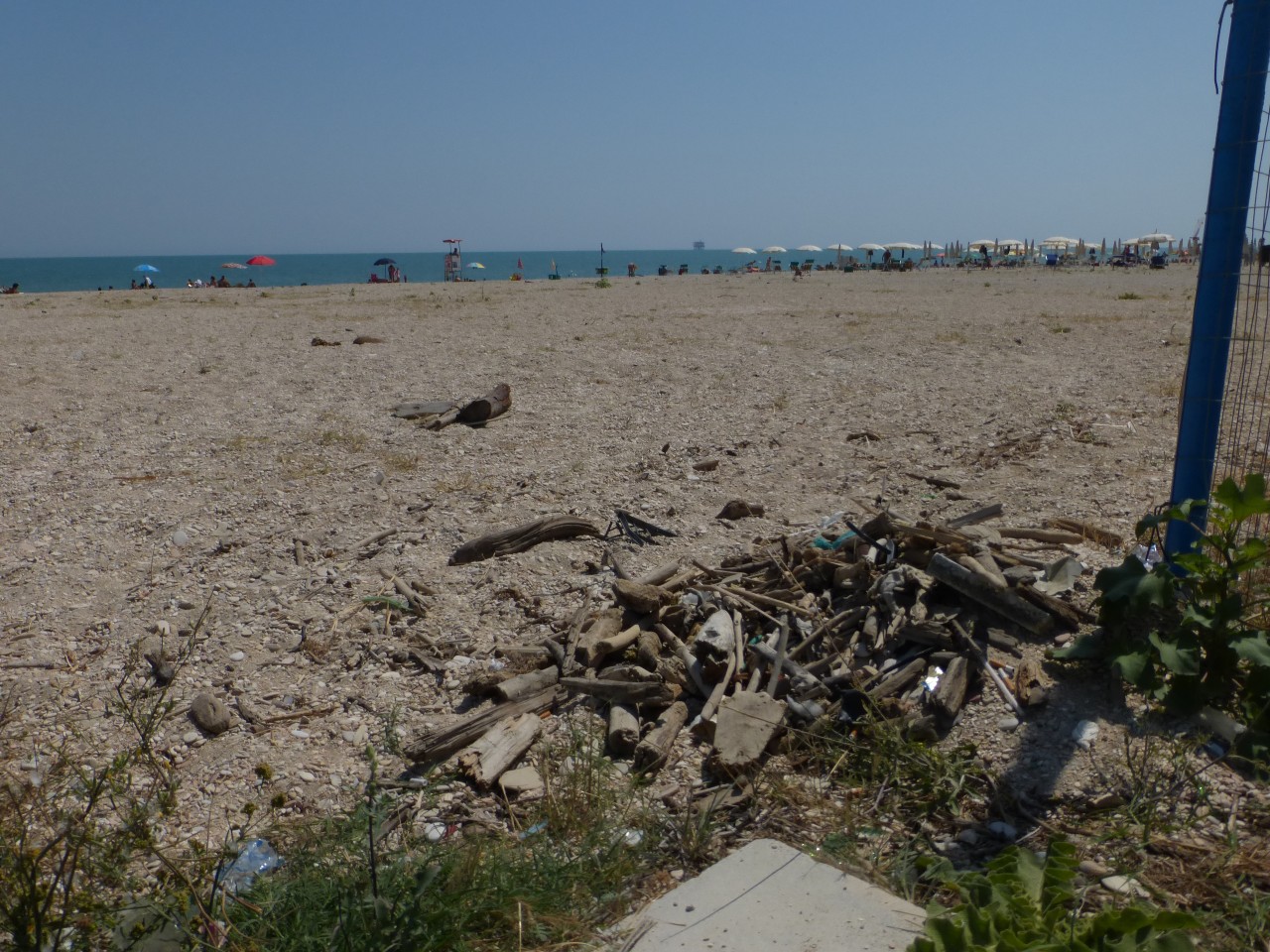 Al Mare Tra La Spazzatura Raccolgo I Rifiuti Con I Guanti