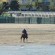 cavallo in spiaggia - civitanova