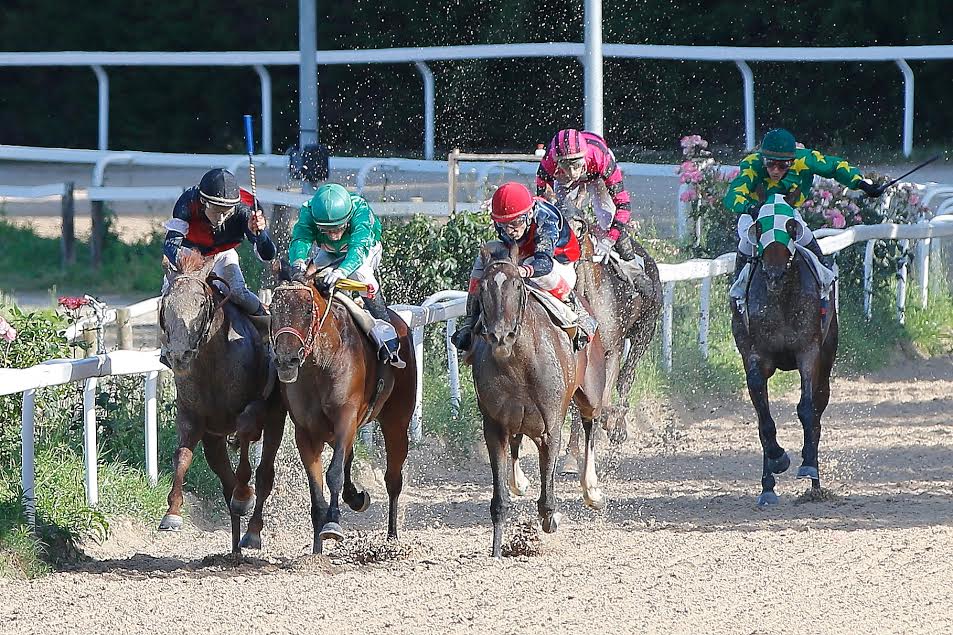 ippodromo-corridonia.jpg