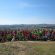 nordic-walking-casa-riposo-castelsantangelo-sul-neraimg_2845_220