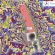faglia-3