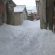 Neve-Fematre