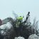caldarola_sisma_neve-3-55x55