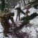 esercito-neve-2-55x55