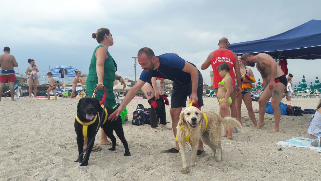 Spiagge Libere Per I Cani Lappello Di Una Residente