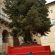 pedana-albero-e1514990972339-55x55