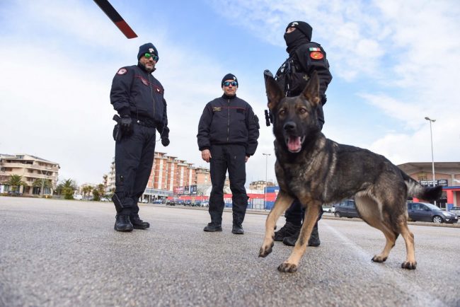 controlli carabinieri cc squadra cinofili archivio arkiv (1)