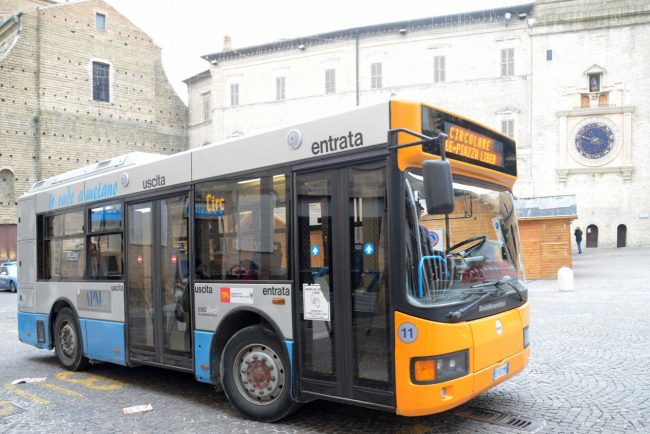 CircolareC_Autobus_FF-1-650x434