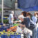 bancarelle-mercato-ortofrutticolo-covid-piazza-gramsci-civitanova-FDM-1-55x55
