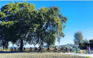 mauro_fumagalli_bikers-8-325x204 