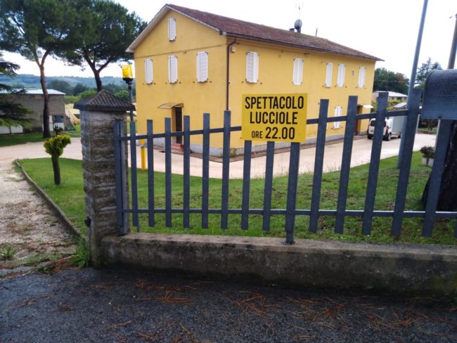 spettaolo-lucciole-4-650x488