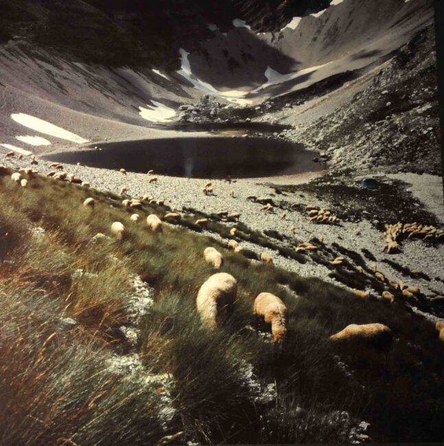 sandro-polzinetti1-647x650