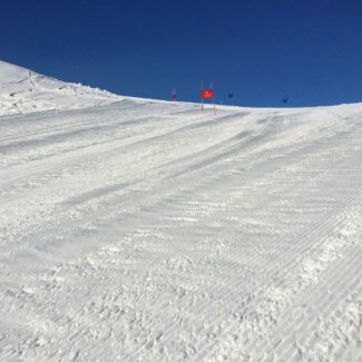 bolognolaski1-325x325