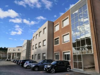 einstein-nebbia-4-325x244