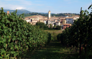 Screenshot-2021-02-23-at-19.19.17-325x210