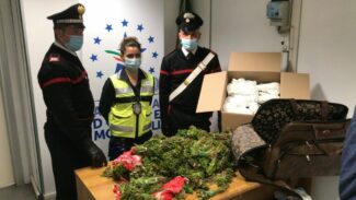 Roma-arresti-traffico-droga-aeroporto