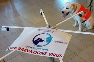 Arrivano i cani anti-Covid: il progetto made in Marche passa alla fase  operativa | Cronache Maceratesi