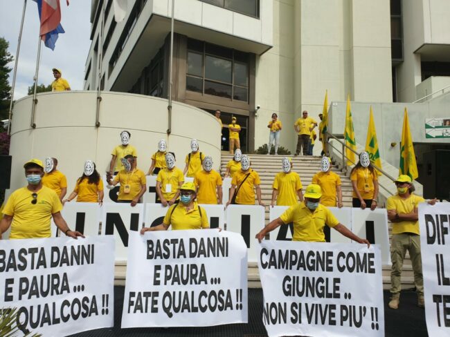 flash-mob-stop-cinghiali-1-650x488