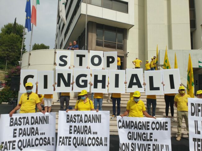 flash-mob-stop-cinghiali-3-650x488