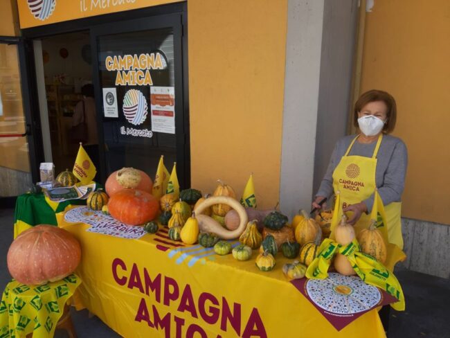 zucca-day-campagna-amica-1-650x488