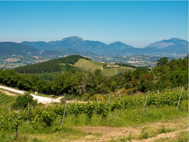Panoramica-zona-da-Fabriano-a-Camerino-2-650x487