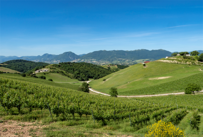 Panoramica-zona-da-Fabriano-a-Camerino-3-650x441