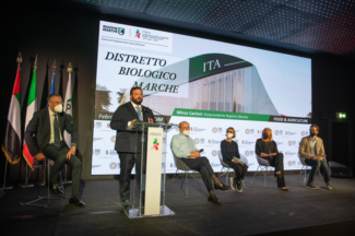 Dubai-Carloni-biologico