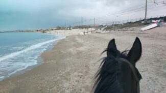 cristian-moroni-giro-italia-a-cavallo-4-325x183