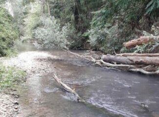 Cingoli-lavori-sul-fiume-Musone-del-Genio-civile-1-e1650637659543-325x240