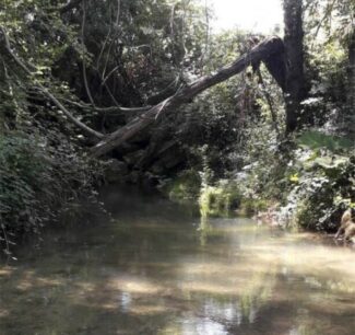 Cingoli-lavori-sul-fiume-Musone-del-Genio-civile-2-e1650637606458-325x306