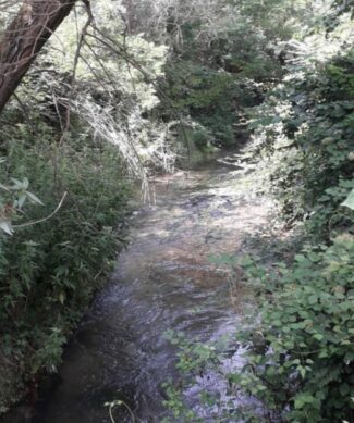 Cingoli-lavori-sul-fiume-Musone-del-Genio-civile-3-e1650637647716-325x389