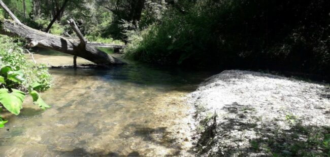 Cingoli-lavori-sul-fiume-Musone-del-Genio-civile-4-650x310