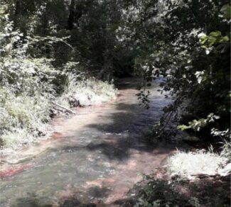 Cingoli-lavori-sul-fiume-Musone-del-Genio-civile-5-e1650637618782-325x292