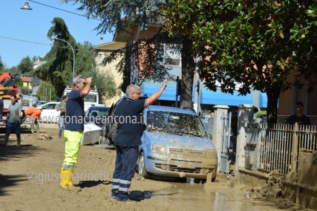 alluvione-senigallia-ostra-11