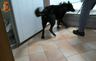 arresti-dorga-umbria