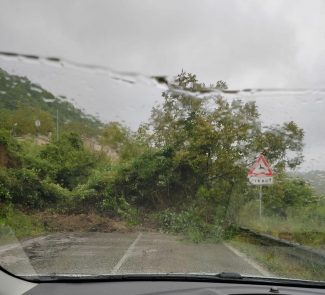 contrada-molino-direzione-amandola-albero-caduto-Monte-San-Martino