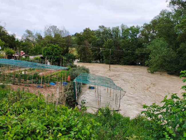 fosso-cremone-3-650x488