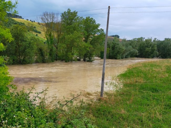 fosso-cremone-4-650x488