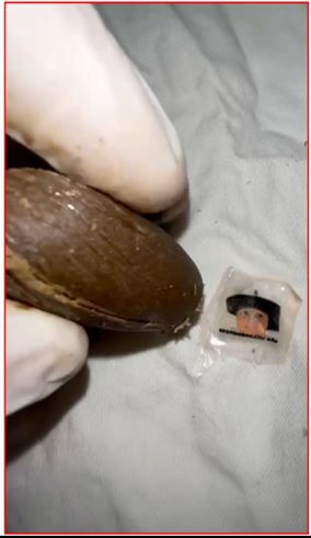 droga-sequestro-carabinieri-tolentino-3