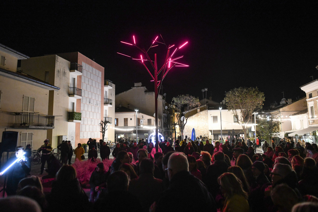 CENTRO DI AGGREGAZIONE ALBERO MAGICO