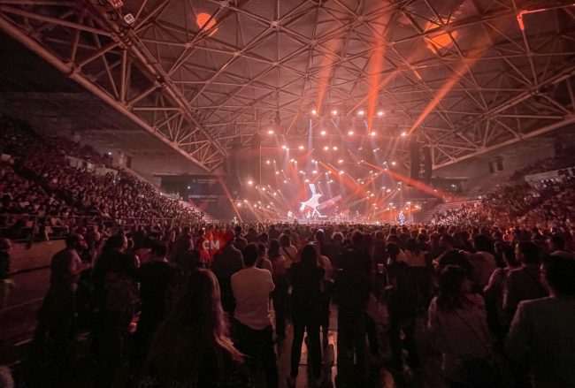 luciano-ligabue-palaprometeo-ancona-FDM-12-650x439