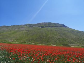 Castelluccio