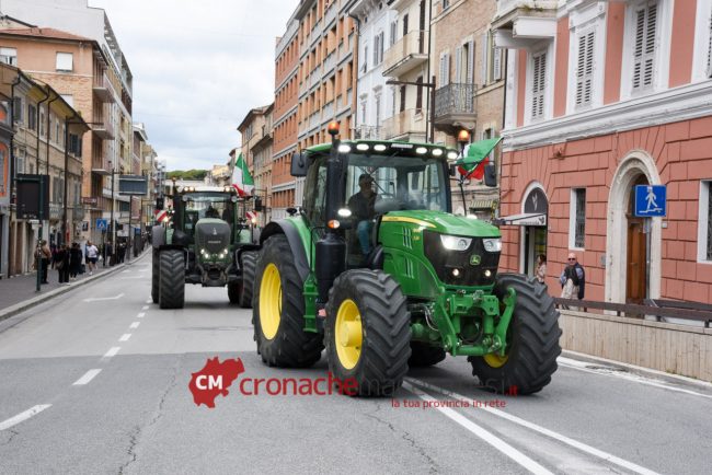 Trattori-Corso-Cavour_FF-3-650x434