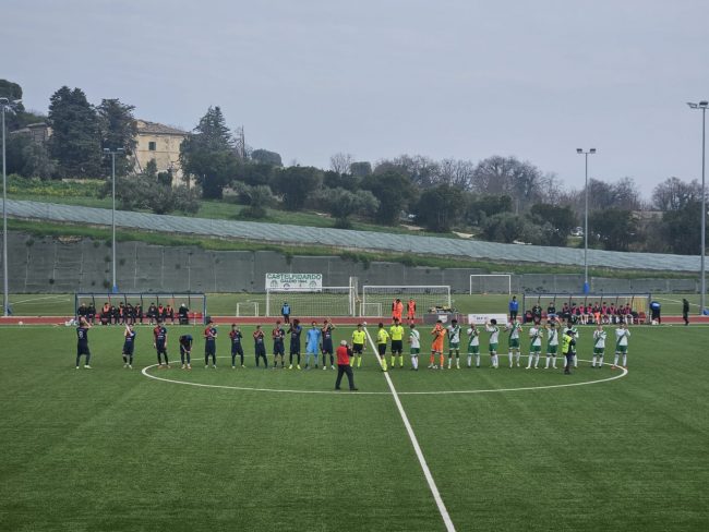 castelfidardo-civitanovese