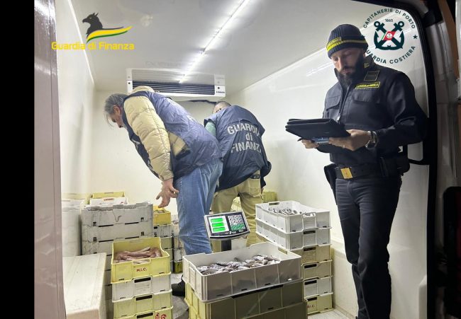 pesce-sequestrato-civitanova