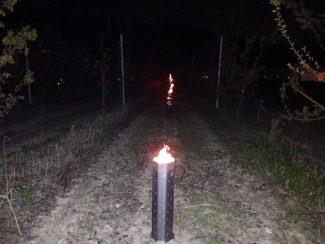 fuochi-nei-campi-1-325x244