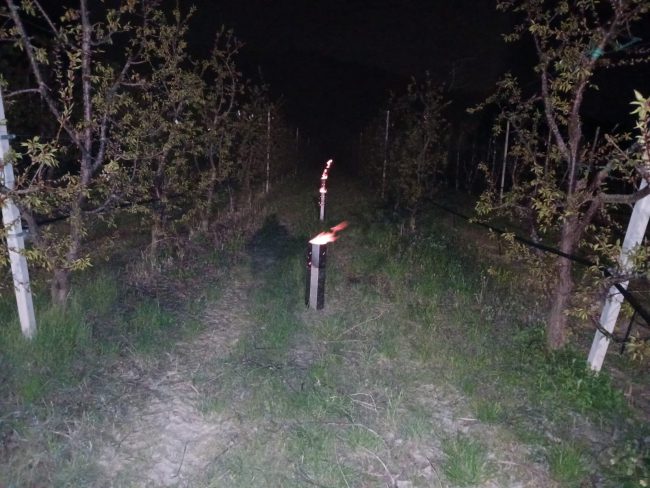 fuochi-nei-campi-2-650x488